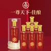 2023年五粮液一尊天下佳酿，52度浓香型白酒，整箱500ml*6瓶，每箱3个礼袋。 商品缩略图0