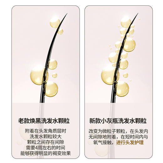 韩国modamoda小灰瓶洗发水|10种专利焕黑植物提取物，盖白发+防脱+修护三合一 商品图6