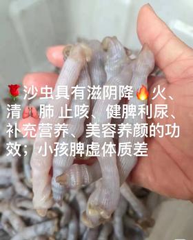 ￥【新鲜沙虫】营养高，口感好[强]被称为海里的“冬虫夏草”,滋补好货，鲜嫩脆爽 200g/盒活冻
