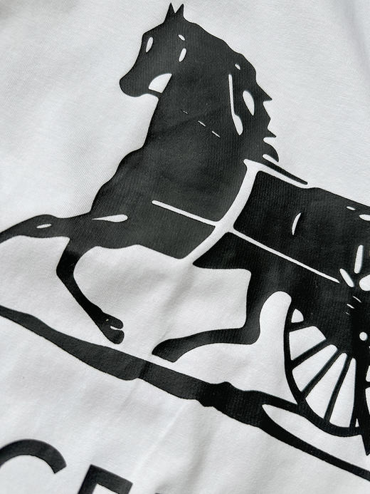 THS-限时 塞琳家 经典马车 logo印花 圆领短袖T恤2色 QH469 商品图10