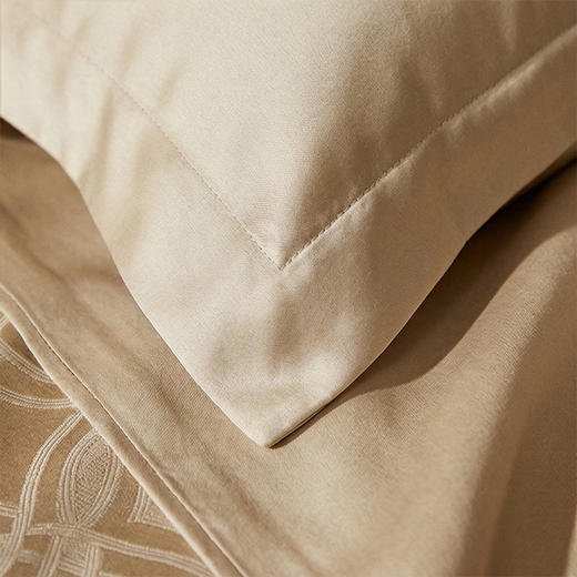 一对装|SANGLUO桑罗玻尿酸枕套枕巾桑蚕丝绸枕套（买一对送随机眼罩1只）02024401 商品图5