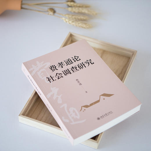 费孝通论社会调查研究 费孝通著 70年田野调查 一本书洞见中国社会本质 北京大学出版社旗舰店 商品图4