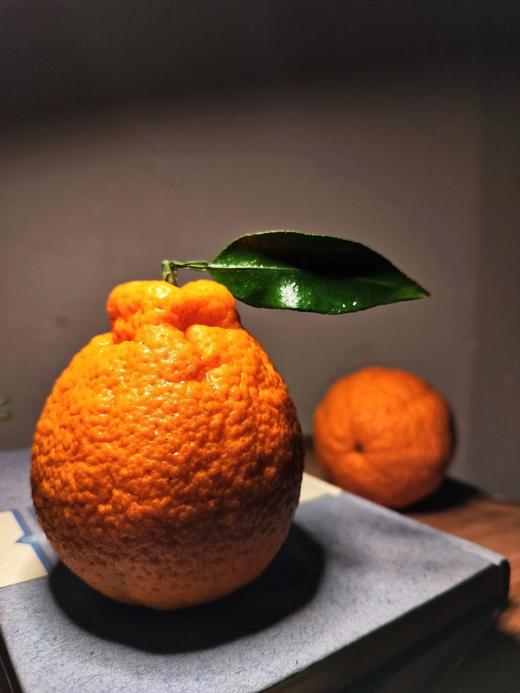 合作产品/生态不知火丑橘（口感偏酸，橘子果蒂有轻微干水，不影响口感与食用，不以此为售后，介意慎拍哦） 商品图0