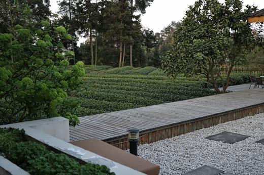【雅安#147号院】3房、4房野奢小院，下午茶/泳池/采茶体验住，置身万亩茶园美景中，愿你和你的家人挚友在这里度过一些私密的时光！WTCG 商品图5