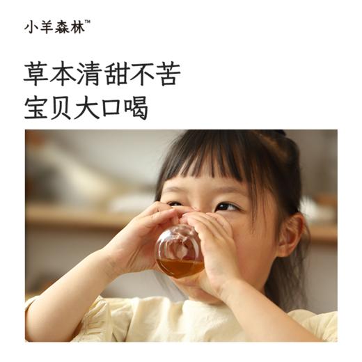「去湿热套组」专为2岁以上宝宝设计，含五指毛桃茯苓饮+火清清，温和清理体内湿浊 商品图10