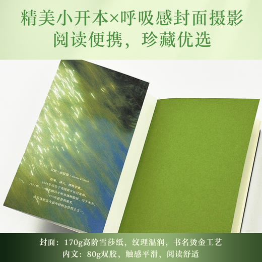 溪畔一年 一部重新定义自然书写的经典，一场穿越四季的朝圣 商品图3