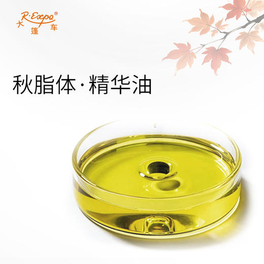秋脂体·精华油东方四季香养凝脂玉体系列植物原料批发大篷车精油 商品图3