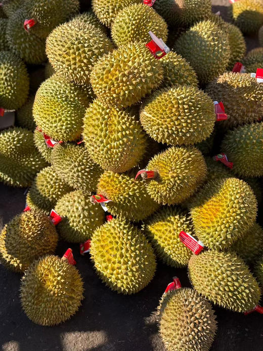 泰国托曼尼榴莲 商品图5