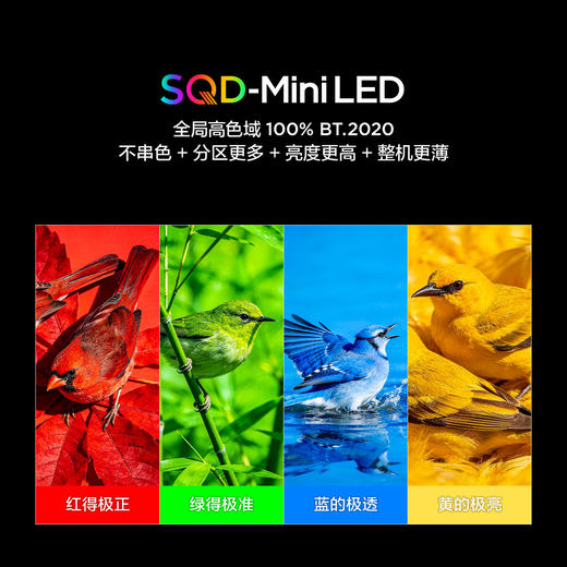 【FFALCON雷鸟】75鹤7 26款 75英寸 SQD-Mini LED 超级蝶翼星曜屏 平板电视75R79A 商品图2