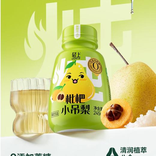 轻上枇杷小吊梨245ml 商品图0