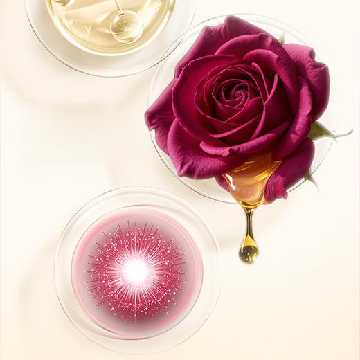 Flower ship花卉诗玫瑰陛下精油洗衣液2L*4瓶 商品图3