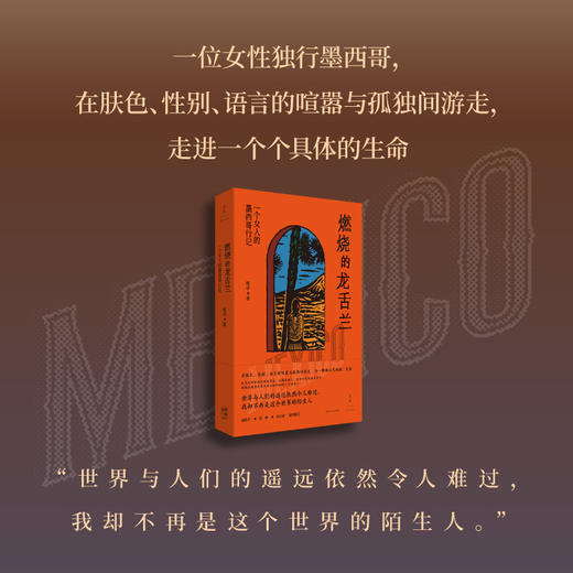 燃烧的龙舌兰：一个女人的墨西哥行记 班卓游记 商品图2