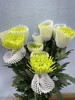 烟花菊翠绿色10支 商品缩略图0