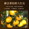 泓达堂·2020年新会陈皮丝30g*3罐  陈香袭人 肉圆如玉 商品缩略图3