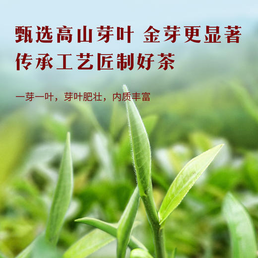 八马茶业 武夷红茶骏眉红茶礼盒装 商品图3