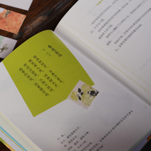 《万物有诗：写给可爱的人间四季》（全2册） 商品图7