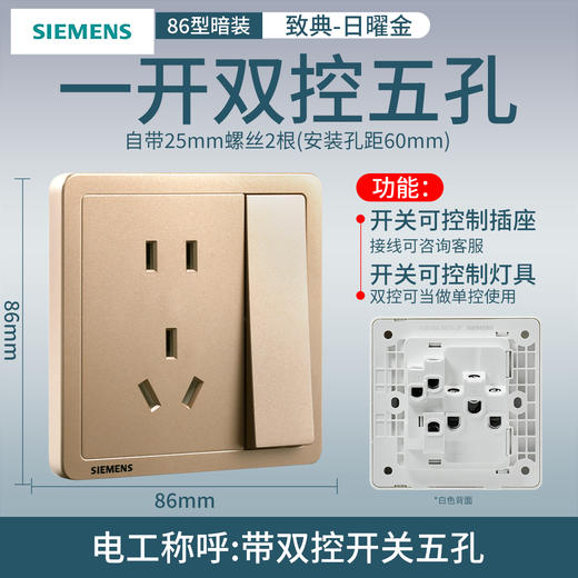 西门子开关插座面板致典日曜金10A双控五孔插座带开关 商品图0