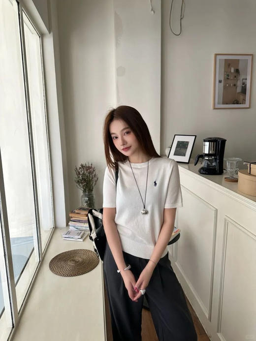 G1738经典刺绣圆领套头衫T恤 经典绣花小马标针织短袖 精梳长绒棉面料 罗纹袖口领口下摆 前胸立体绣花logo 精梳工艺 超长纤维不起球 氛围感拉满 商品图4