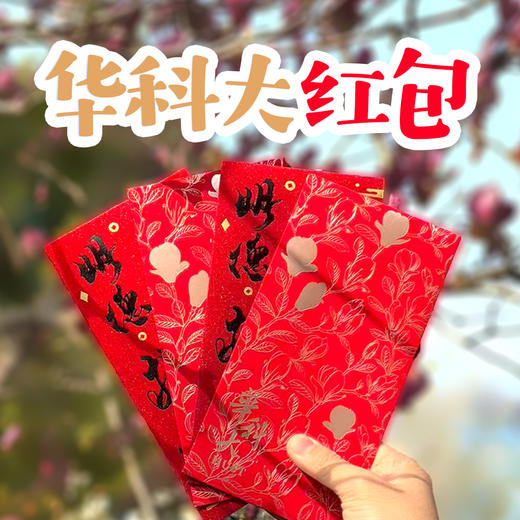 华科大红包套装（玉兰+校训款）一套8个 商品图0