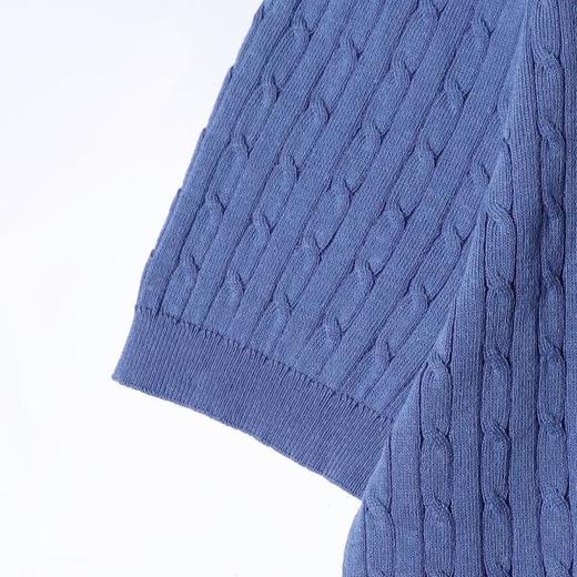 SDSA男装2026新款高贵轻奢绞花针织亨利领短袖Polo衫宽松休闲上衣 商品图2