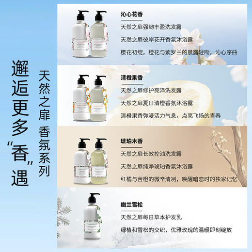 天然之扉香氛系列长效控油洗发露沐浴露丰盈蓬松强韧 商品图3