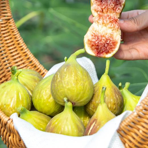 【顺丰空运冷链】海南花香蜜无花果  🌿精选老树自然成熟采摘，软糯无渣  当地直发 商品图2