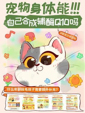 【科普小知识】毛孩子能自己合成辅酶Q10吗🙋‍♀️一篇看懂🙌