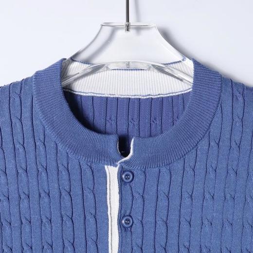 SDSA男装2026新款高贵轻奢绞花针织亨利领短袖Polo衫宽松休闲上衣 商品图1