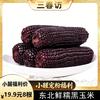 【醒粉福利19.9元8根（不低于4斤）】吉林·鲜糯黑玉米 身材管理期必备 商品缩略图0