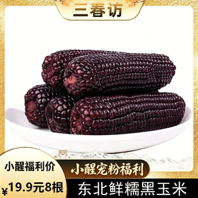 【醒粉福利19.9元8根（不低于4斤）】吉林·鲜糯黑玉米 身材管理期必备