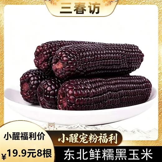 【醒粉福利19.9元8根（不低于4斤）】吉林·鲜糯黑玉米 身材管理期必备 商品图0