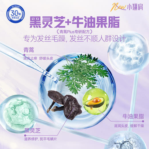 第3代新升级！2026新款 征服青蒿止痒洗发水小翘肩系列，生姜强韧、去屑净爽、控油蓬松、滋养柔顺系列洗发乳 商品图2