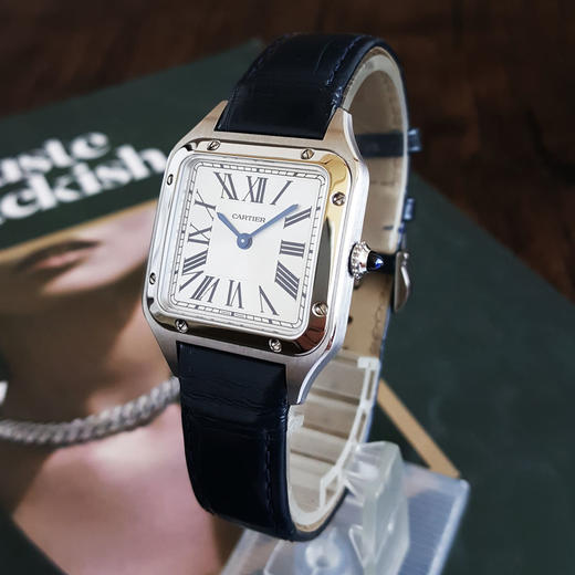 【95新】CARTIER 卡地亚WSSA0023石英机芯27.5*38MM（含表耳 女款）山度士系列精钢010426NJT24 商品图2