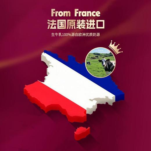 哈根达斯草莓柚香冰淇淋77g 商品图2