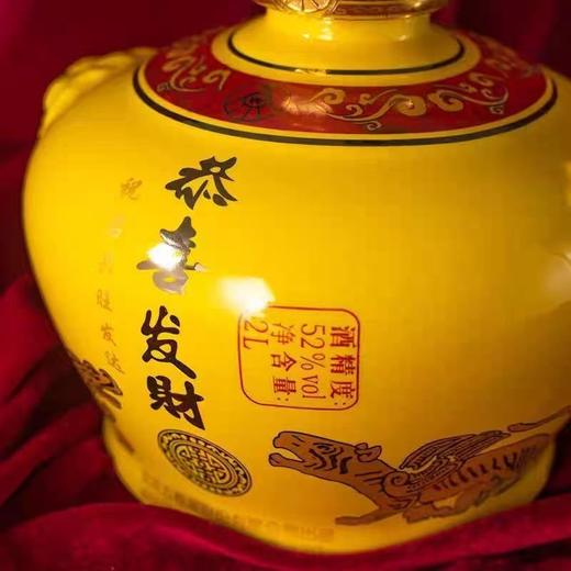 2018年五粮液恭喜发财，52度浓香型白酒，整箱2L*2坛 商品图4
