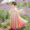 【团购】【苏城纪】汉服女童襦裙楚薇 商品缩略图7