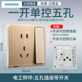 西门子开关插座面板致典日曜金10A单控五孔插座带开关