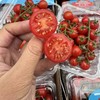 周三取货：【一颗大樱桃番茄】 一盒8两左右，香甜！爆汁！番茄味浓郁！ 商品缩略图3