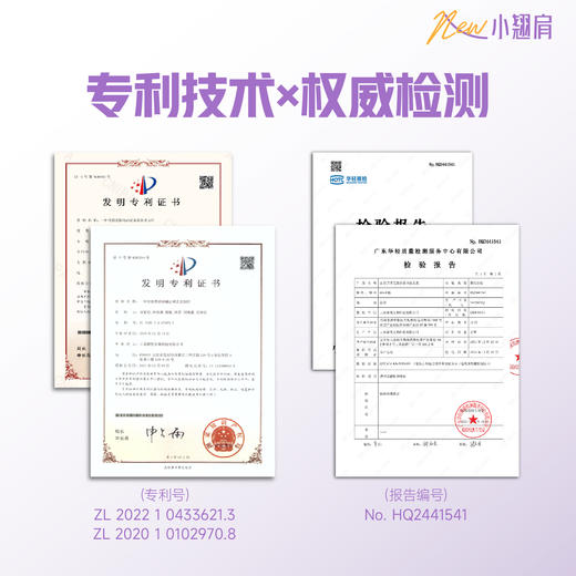 第3代新升级！2026新款 征服青蒿止痒洗发水小翘肩系列，生姜强韧、去屑净爽、控油蓬松、滋养柔顺系列洗发乳 商品图3