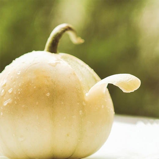 山东青岛  马连庄甜瓜  多规格任选 商品图3