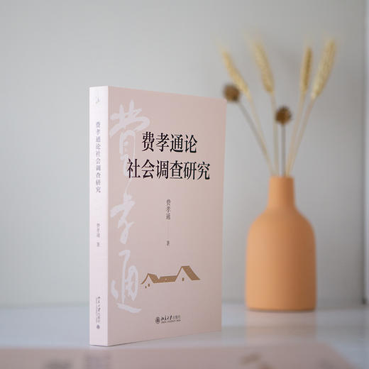 费孝通论社会调查研究 费孝通著 70年田野调查 一本书洞见中国社会本质 北京大学出版社旗舰店 商品图2