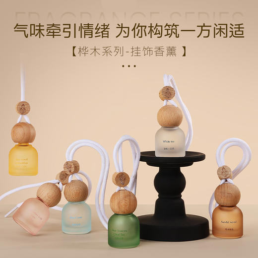 【三浦植造榉木香薰】无火黑科技天花板❗瑞士进口香料，把森林搬进卧室，高级香腌入味了🌲 商品图0