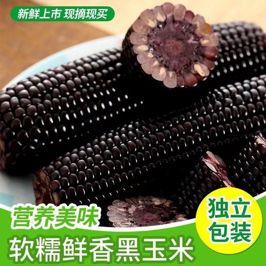 【醒粉福利19.9元8根（不低于4斤）】吉林·鲜糯黑玉米 身材管理期必备 商品图1