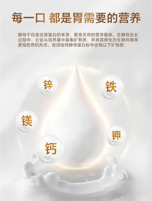 【新品上市】红豆风味酵母蛋白粉 商品图7