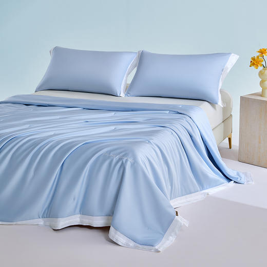 多喜爱 悦己花开蚕丝夏被系列【柞蚕丝填充】【60S天丝棉面料】【精美绣花】【A类标准】【可水洗】【手提包包装】 轻盈透气 柔润丝滑 亲肤凉爽  吸湿透气 紫鸢/蓝星/金葵 商品图8