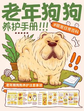 【科普小知识】家有老年狗狗必看‼️养护知识