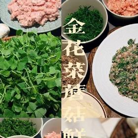 金花菜蘑菇鲜肉馄饨（15个装）4月9号到