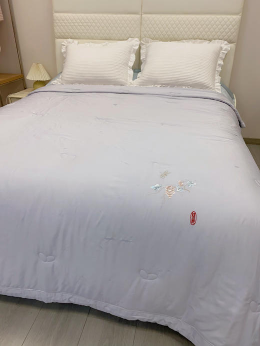 松植屋·蚕竹可水洗蚕丝空调被夏凉被 中式精美刺绣 可轻柔机洗不变形 商品图1