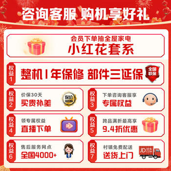 海尔（Haier）小红花133L冰吧家用冷藏柜保鲜柜办公室客厅精致小冰箱小型冰柜一级能效双温DS0133LH9EY1换新补贴 /家用电器 /大 家 电 /冷柜 商品图2