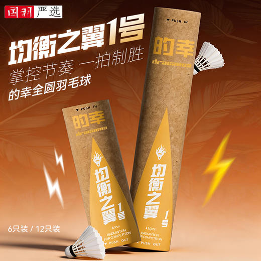 的幸均衡之翼1号羽毛球鹅毛耐打稳定 训练比赛用球12 只装 商品图0